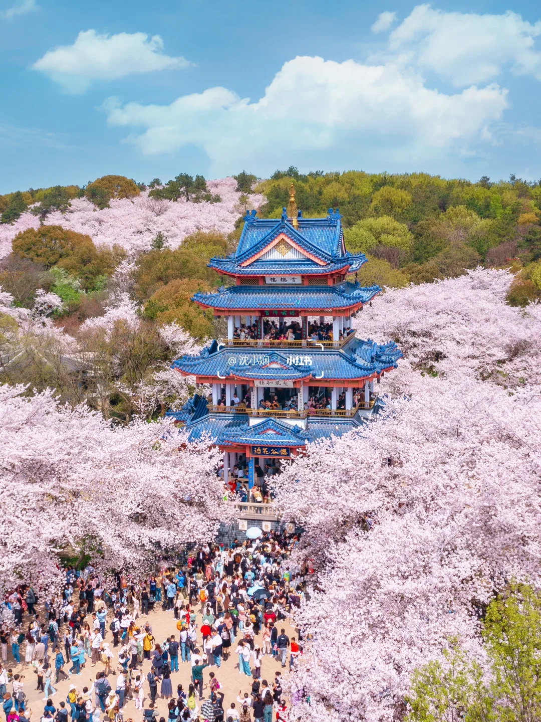 刚从无锡鼋头渚回来，能劝一个是一个‼️