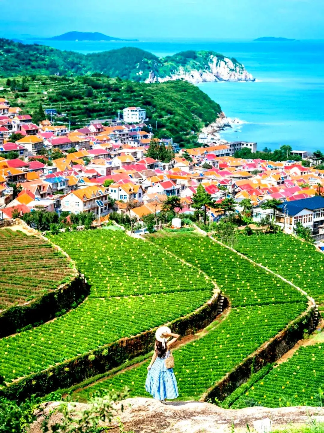 春季出游的最佳选择:3至5月的6个理想目的地,无需复杂攻略