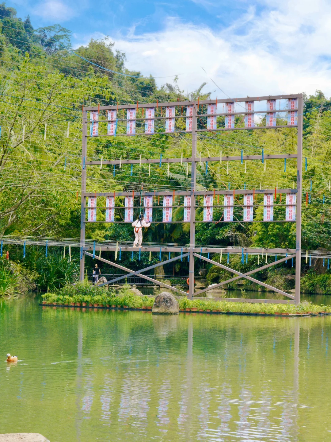 来三亚📍我发现了春日的热带雨林👒｜呀诺达