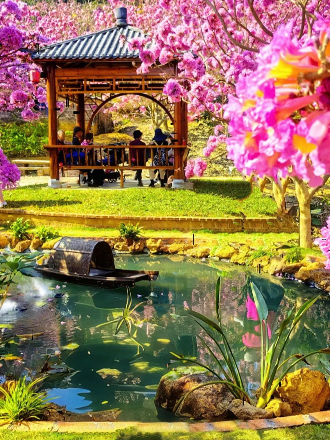 600亩紫花风铃盛开了🌸走进动漫里的花海