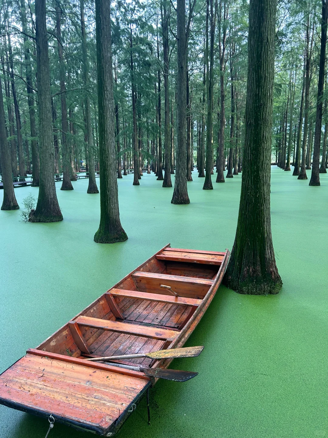 🙋🏻‍♂️来扬州，想给所有人安利的宝藏公园‼️