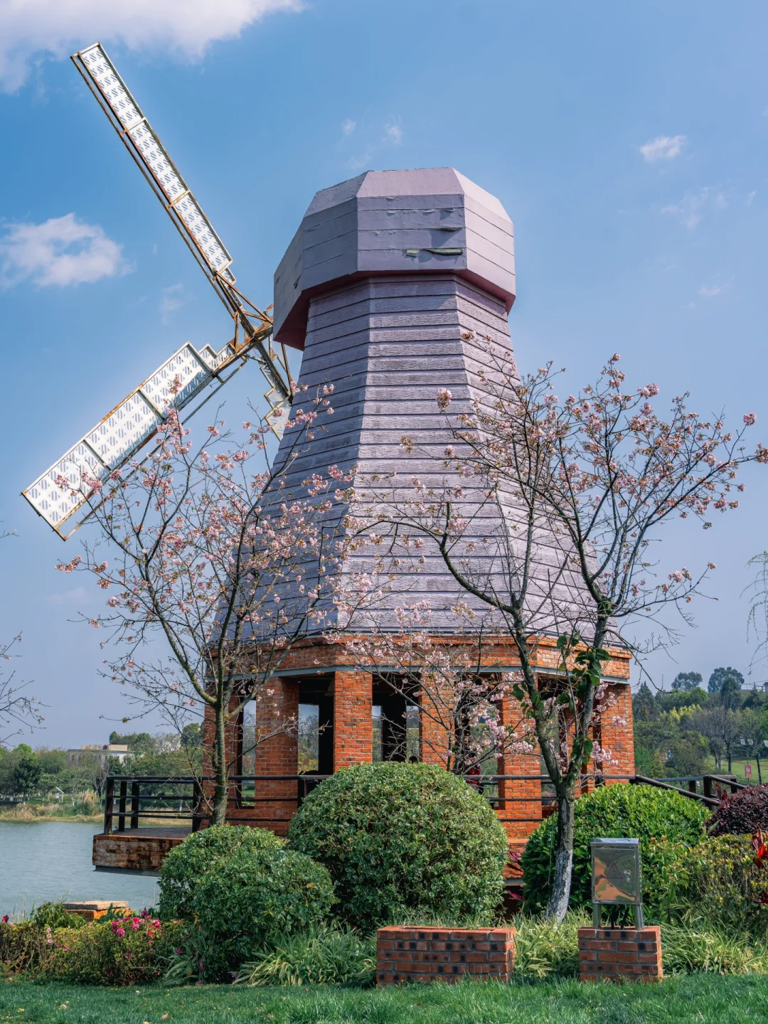 不在国外❗️在云南❗️国内版“普罗旺斯”🥹