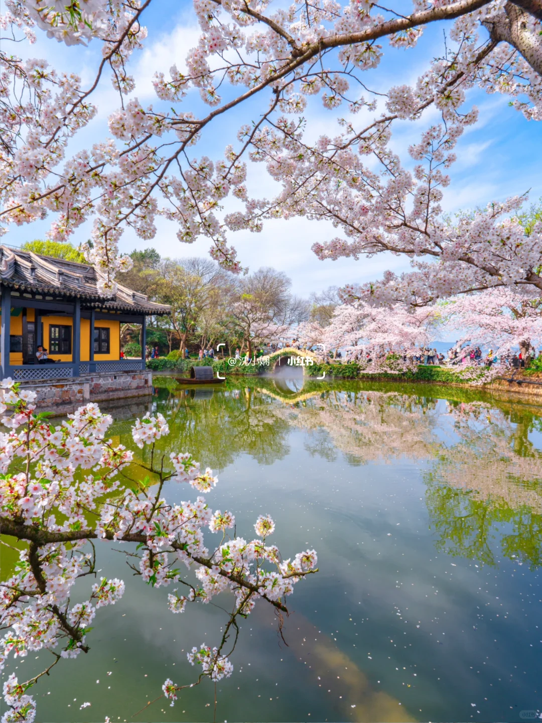 刚从无锡鼋头渚回来，能劝一个是一个‼️