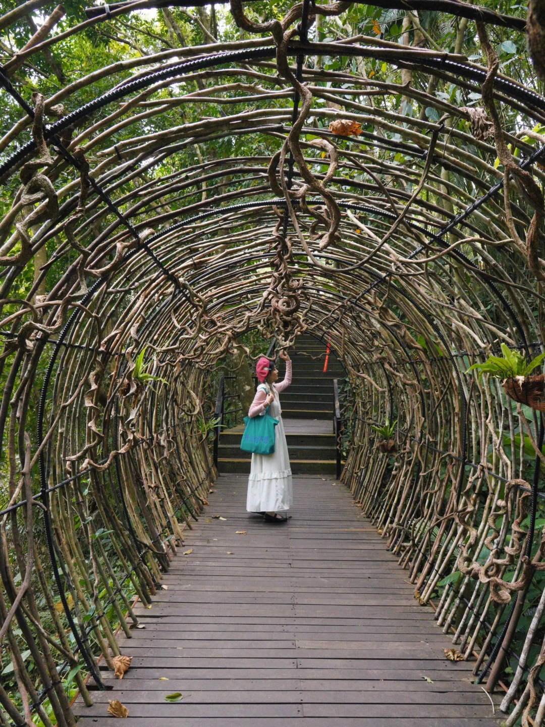 来三亚📍我发现了春日的热带雨林👒｜呀诺达
