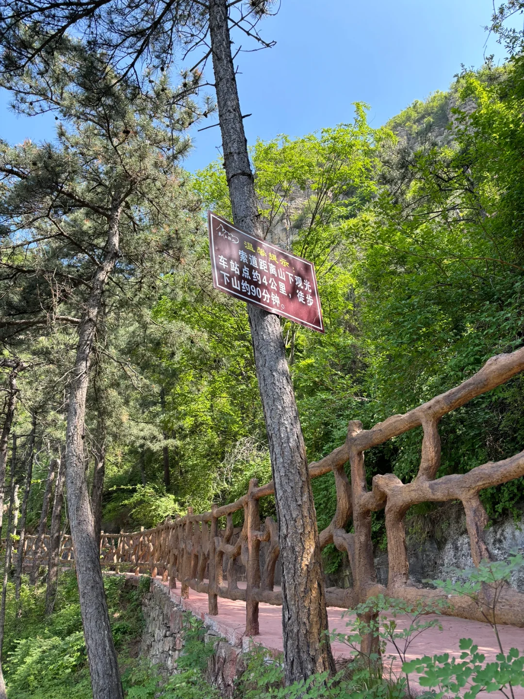 在邯郸|进山!玩水!涉县五指山一日游
