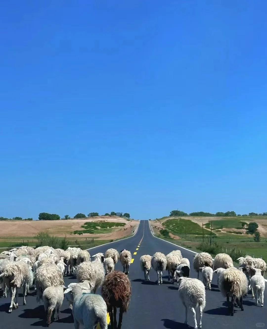 自驾｜达达线｜热阿线 真的非常值得去！！！