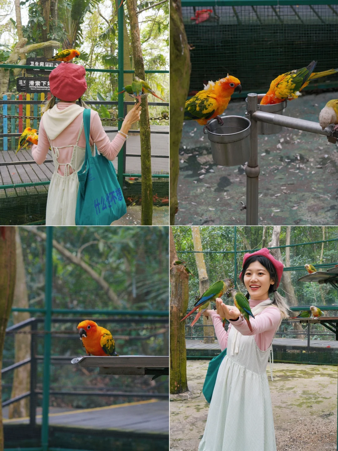 来三亚📍我发现了春日的热带雨林👒｜呀诺达