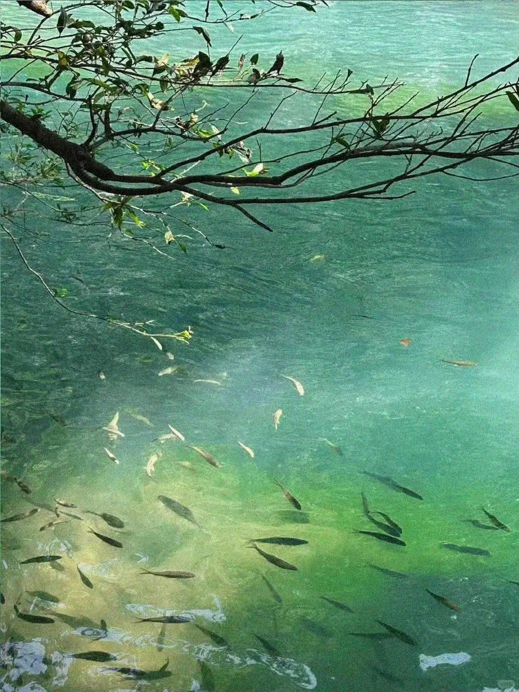 3.17📍小七孔已回，崩溃了😭说点大实话