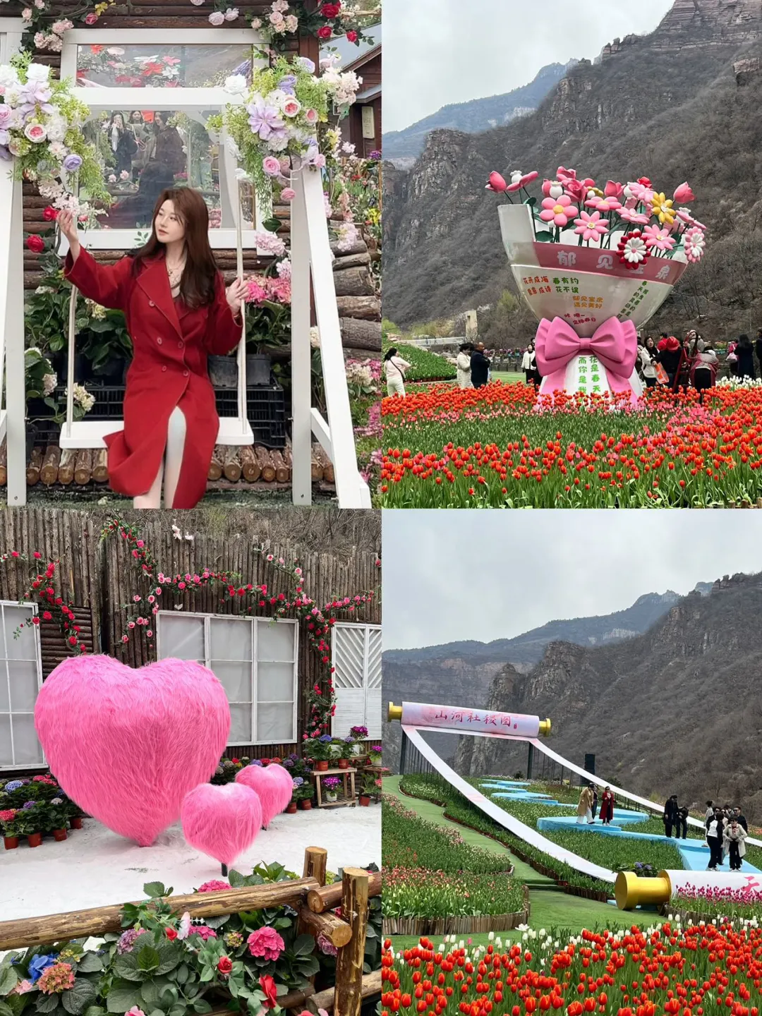 谁懂！河南宝泉藏着春日限定郁金香花海🌷