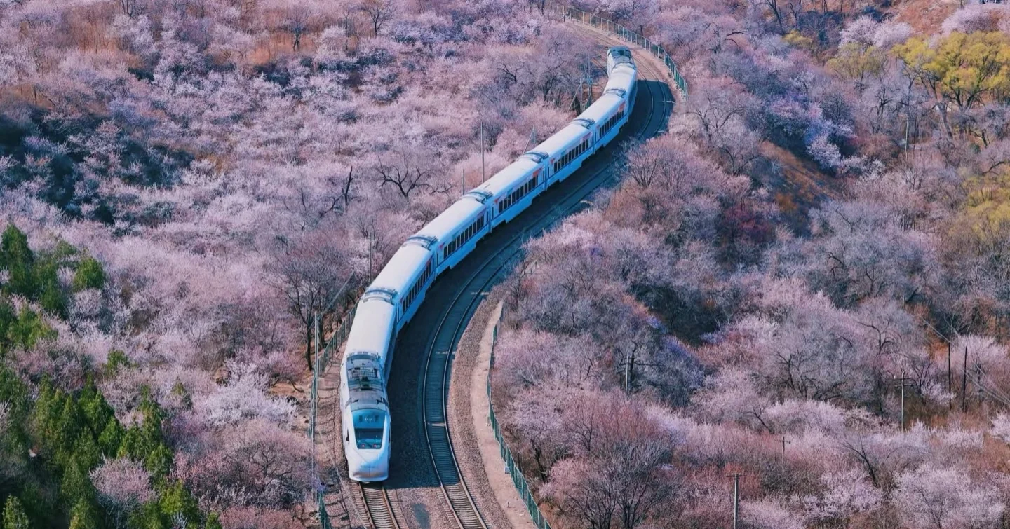 居庸关长城春日赏花季，旅游攻略
