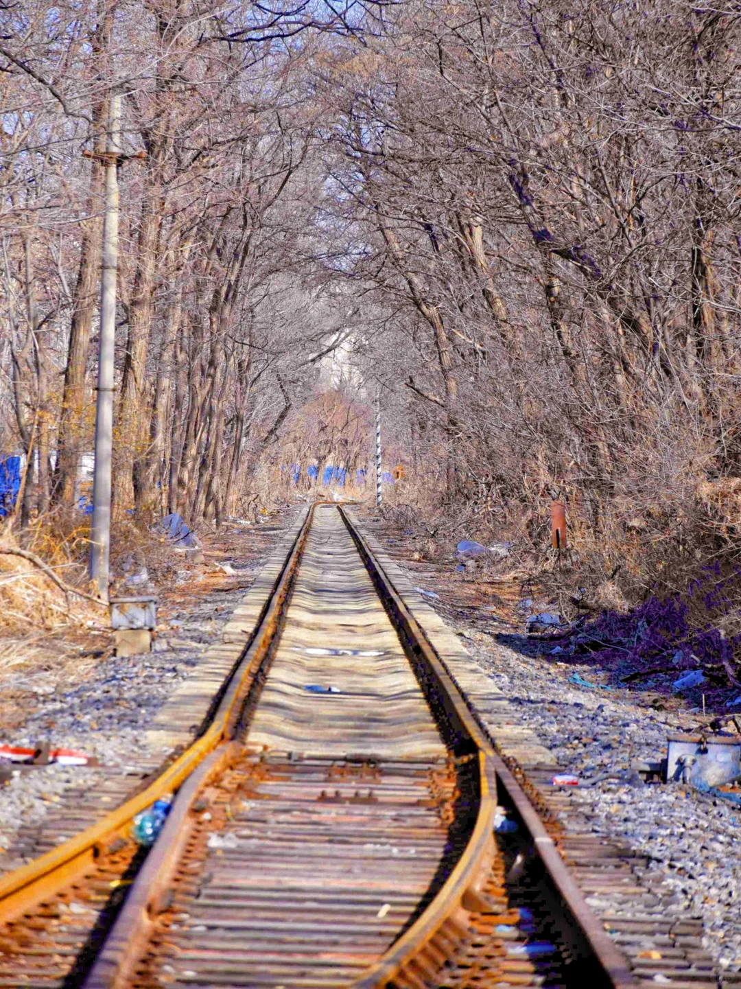 以为烟台已经够美了，直到去了大连……