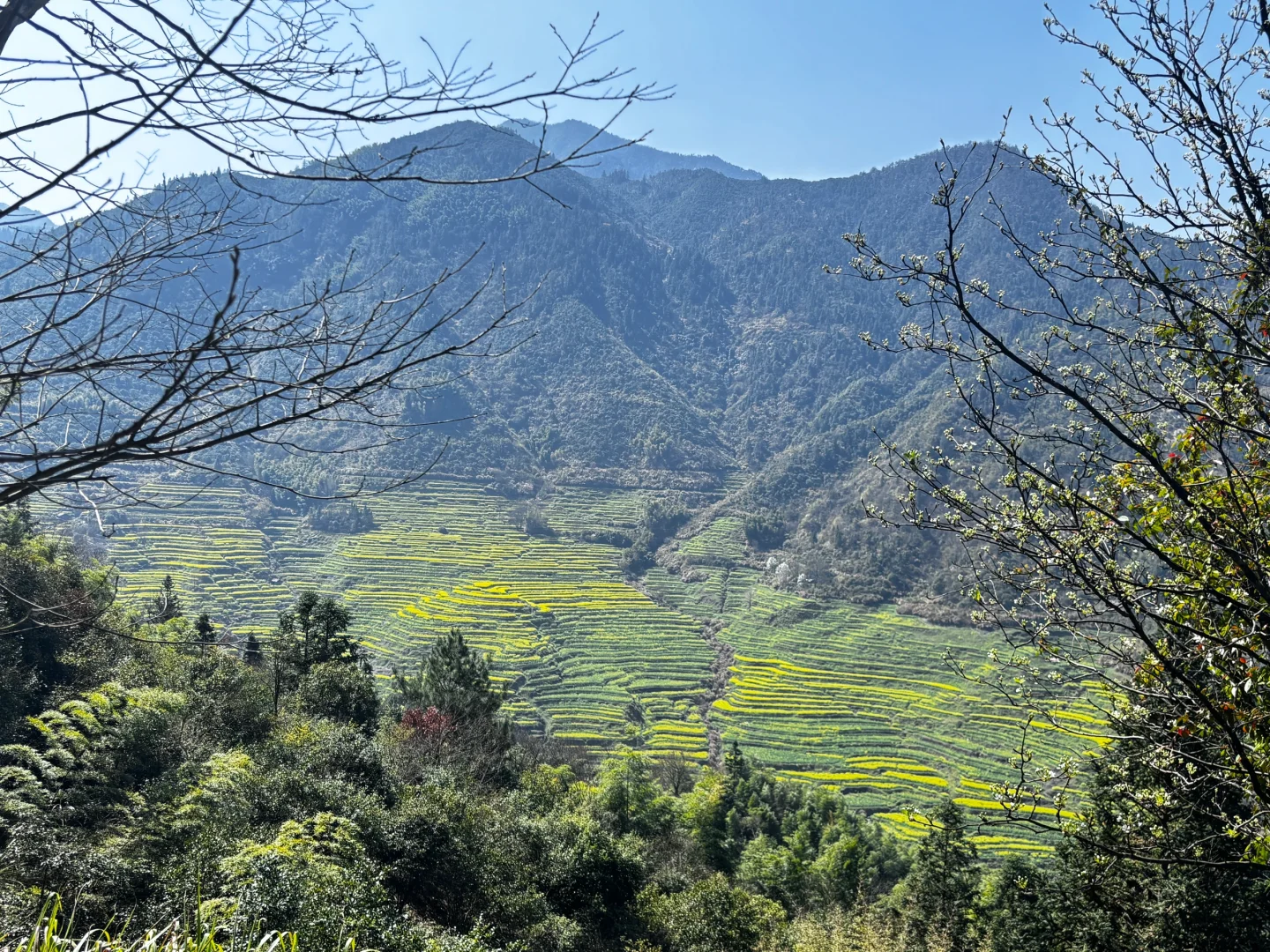 📍江西婺源 篁岭 真心不推荐