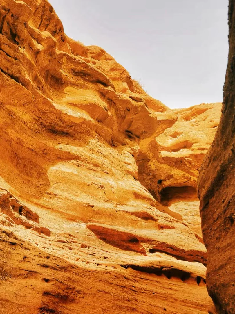 温宿大峡谷包车一日游?解锁峡谷极致风光!