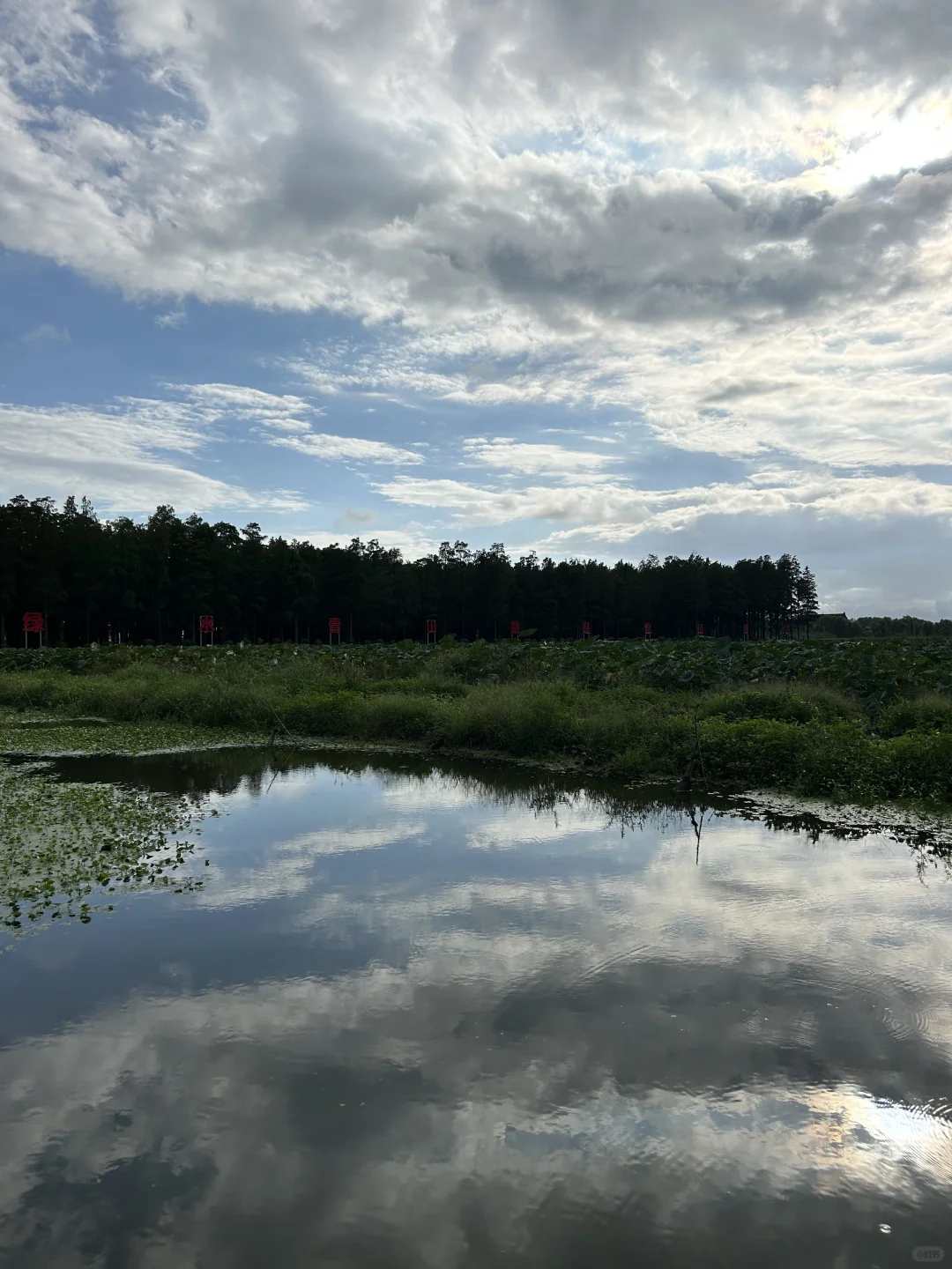 🙋🏻‍♂️来扬州，想给所有人安利的宝藏公园‼️