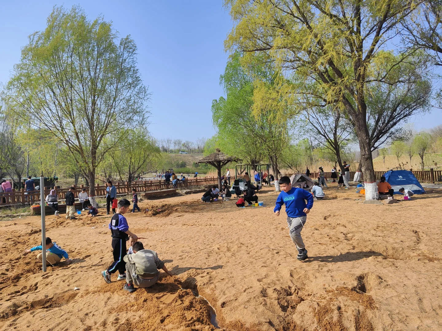 ✨邯郸👣免费露营遛娃的好地方