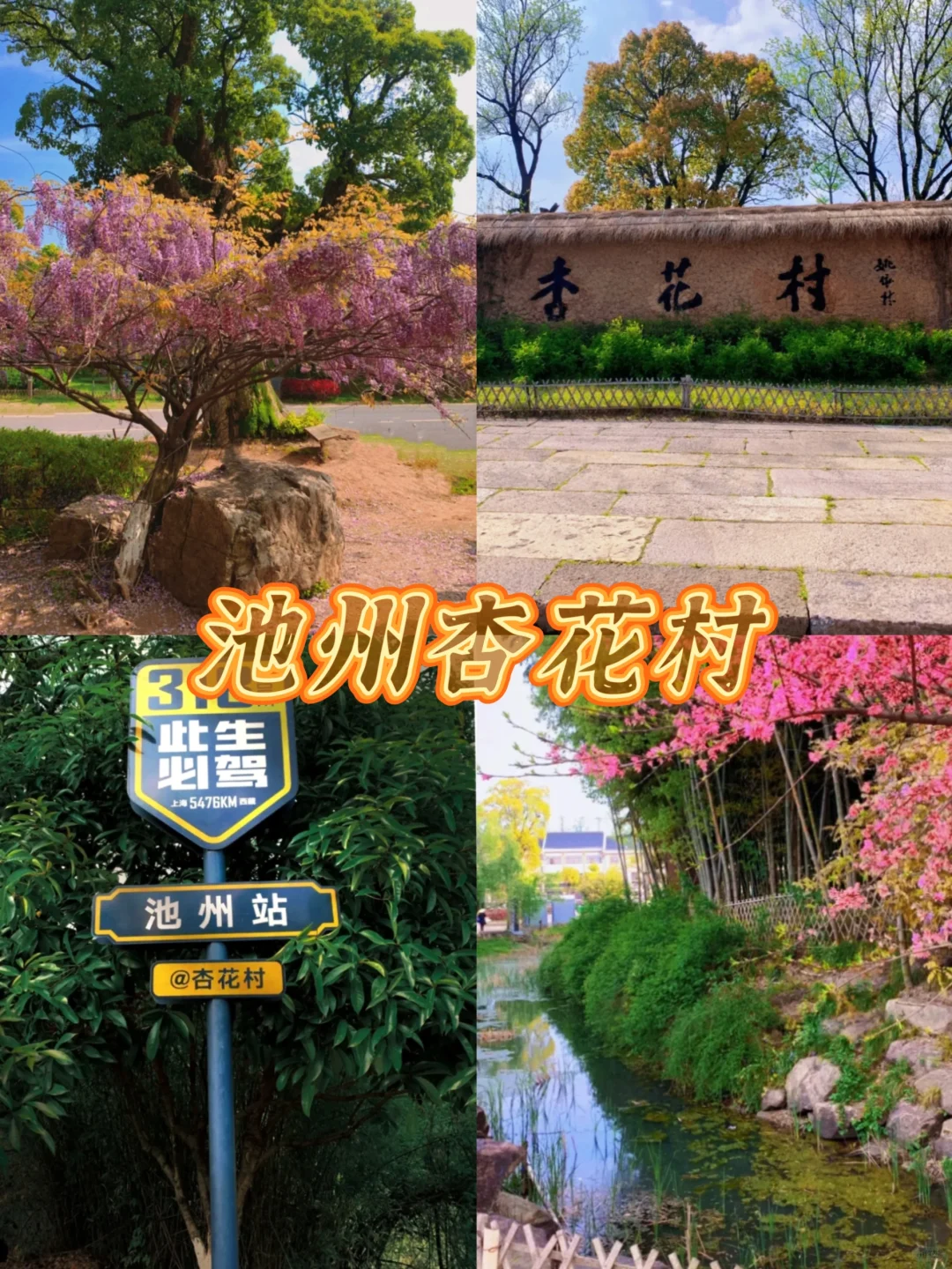 安徽3-4月必去的十大赏花胜地🌸