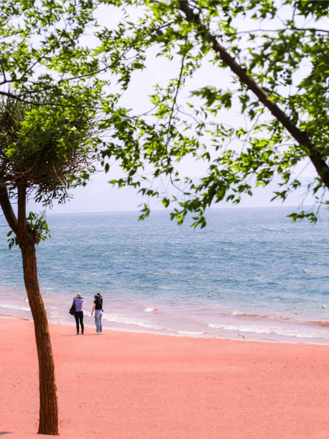 五一反向旅游!我找到了国内唯一的粉红沙滩