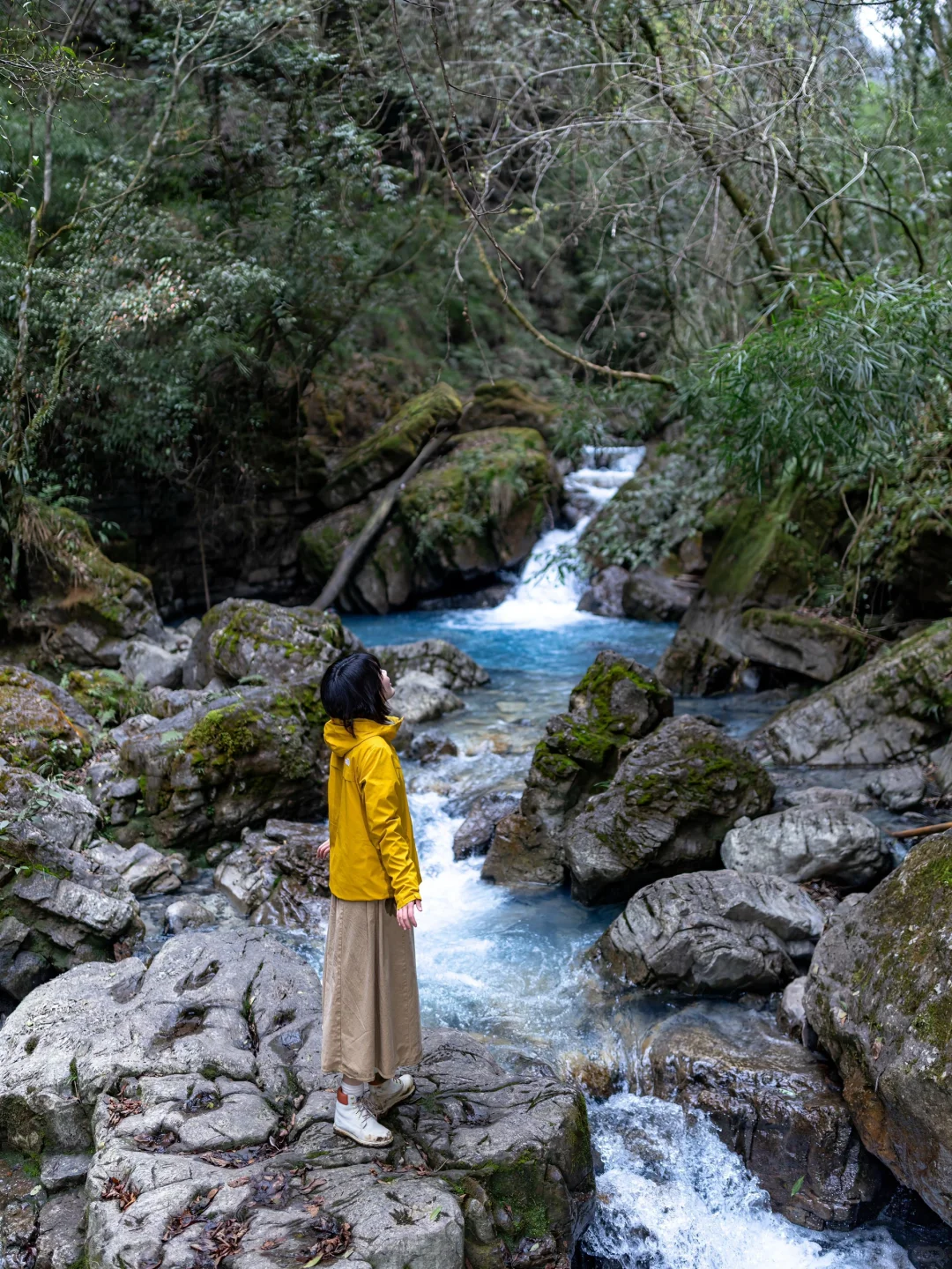 贵州文旅怎么不宣传这儿啊⁉️是因为免费吗⁉️