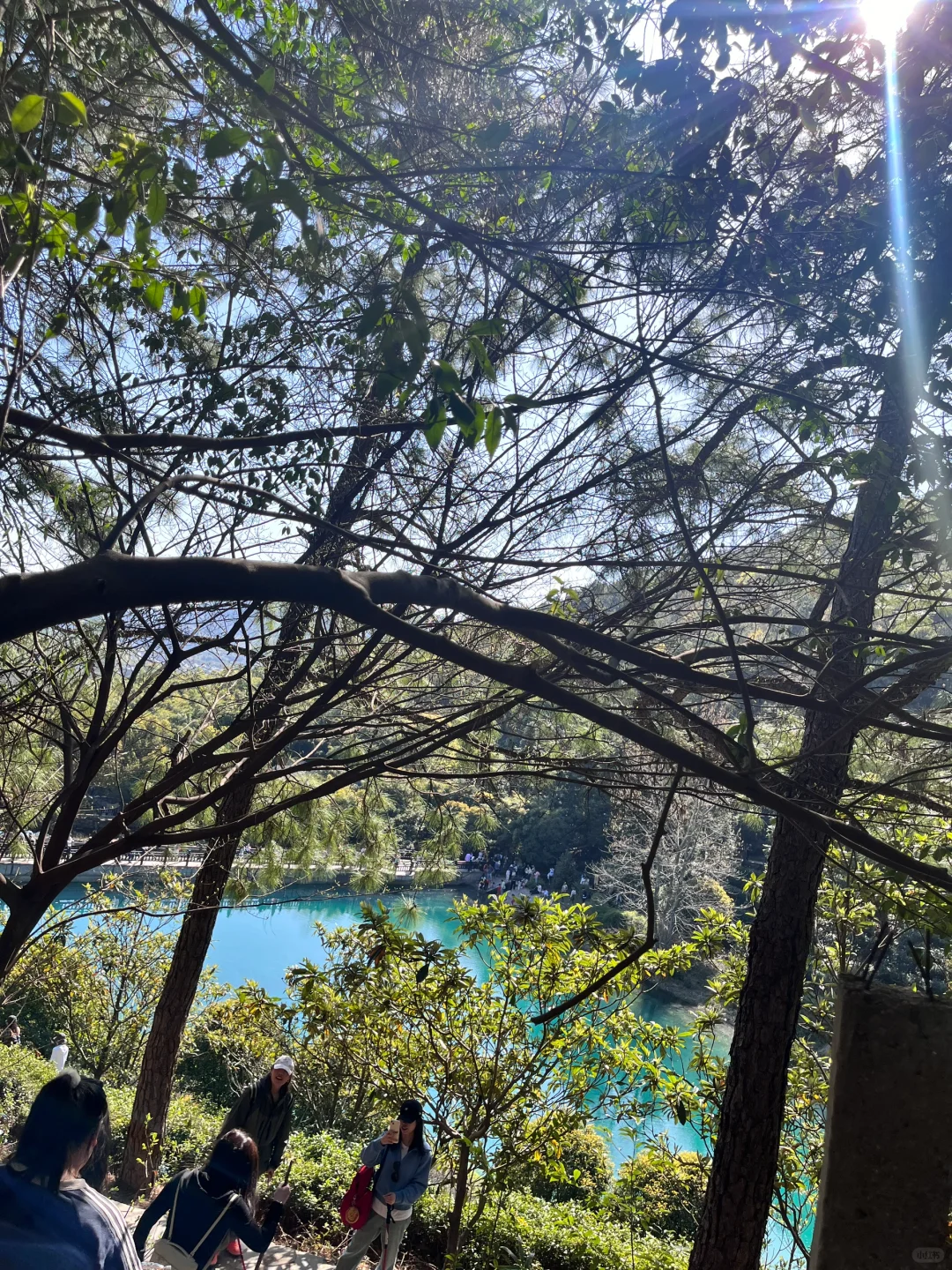 3.30 | 苏州小众踏春赏花景点‼️🤩