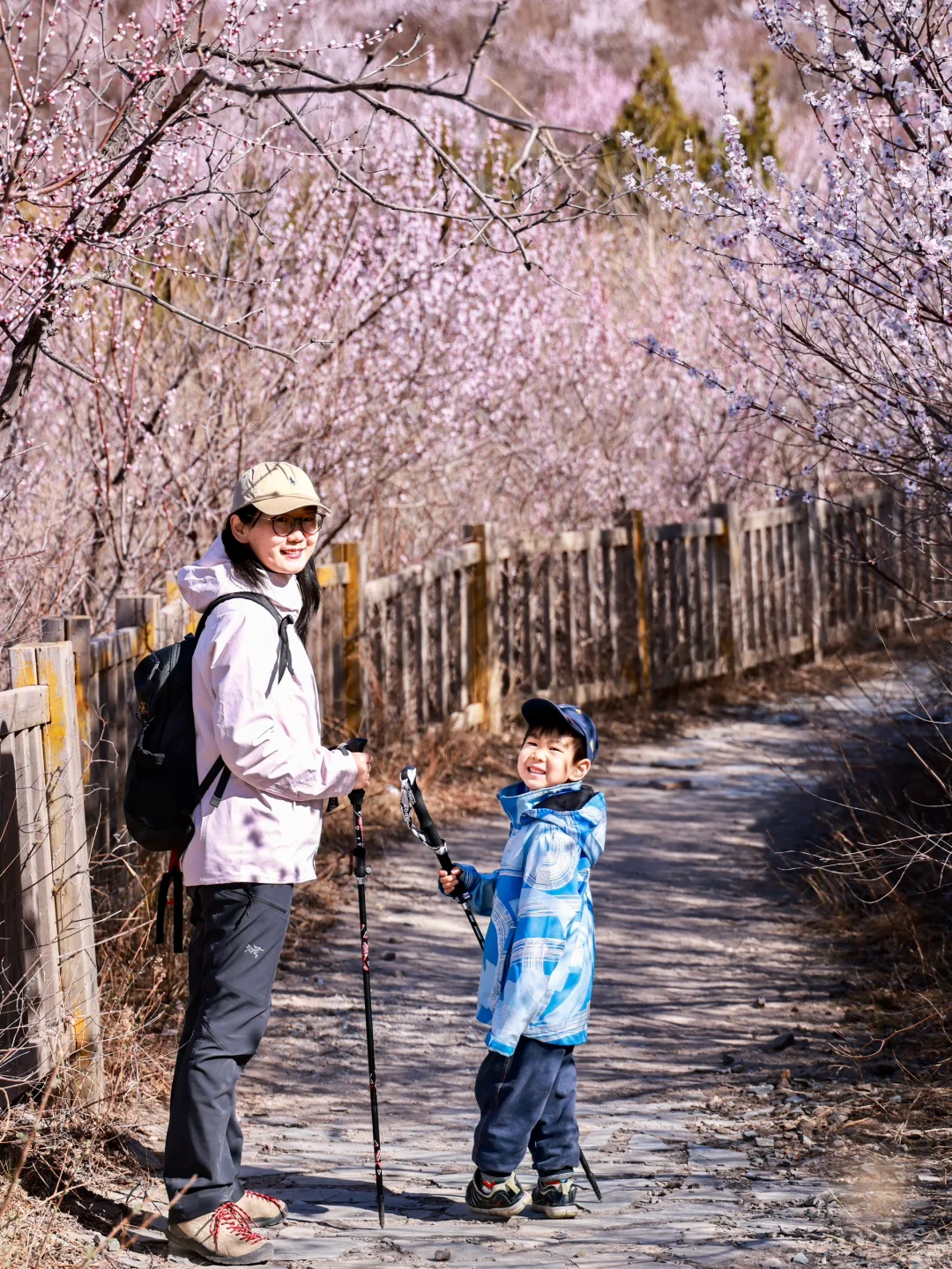 3.20❗️北京蕞适宜全家小众赏花路线宠物友好