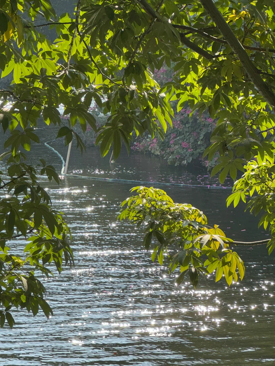 来广州了❗️永庆坊去了，月亮桥真的好美啊
