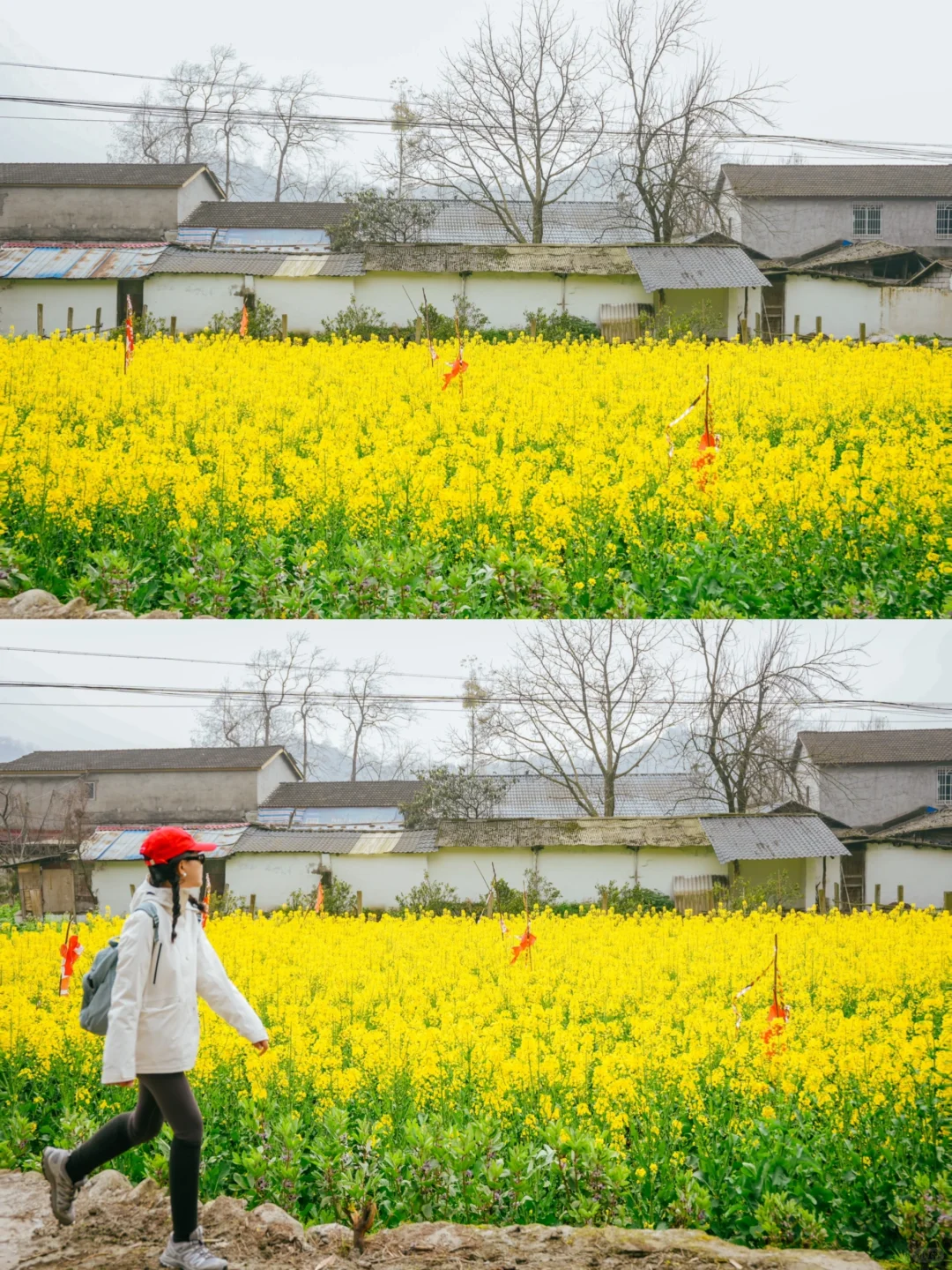 在成都周边！！我唯一想去无数次的徒步路线！！