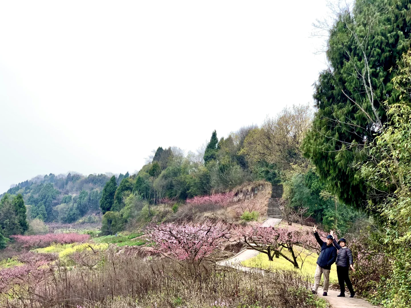 成都徒步|走入油画般的登山步道