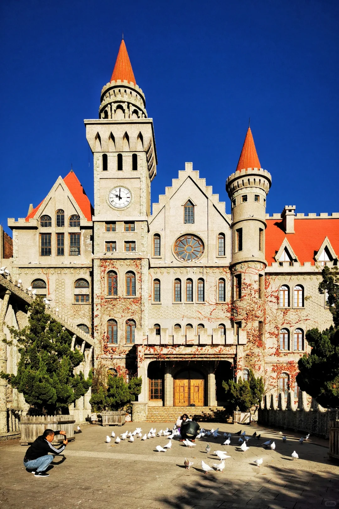 打卡天津254：惊艳的中华石园🌺