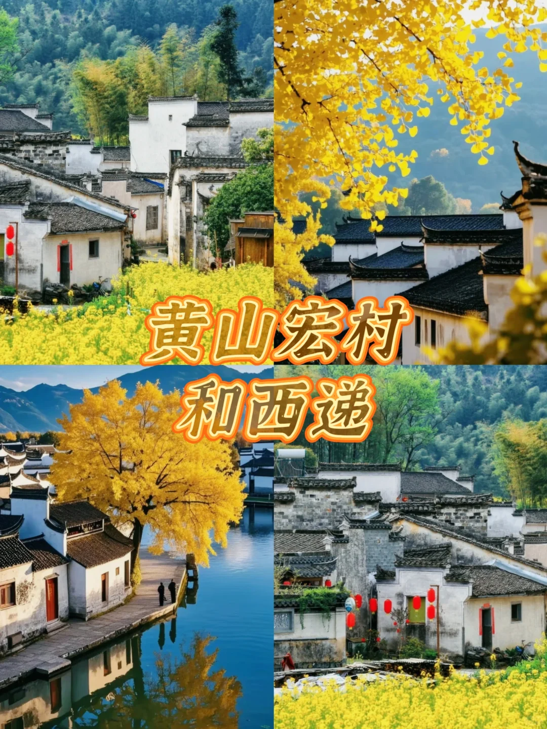 安徽3-4月必去的十大赏花胜地🌸