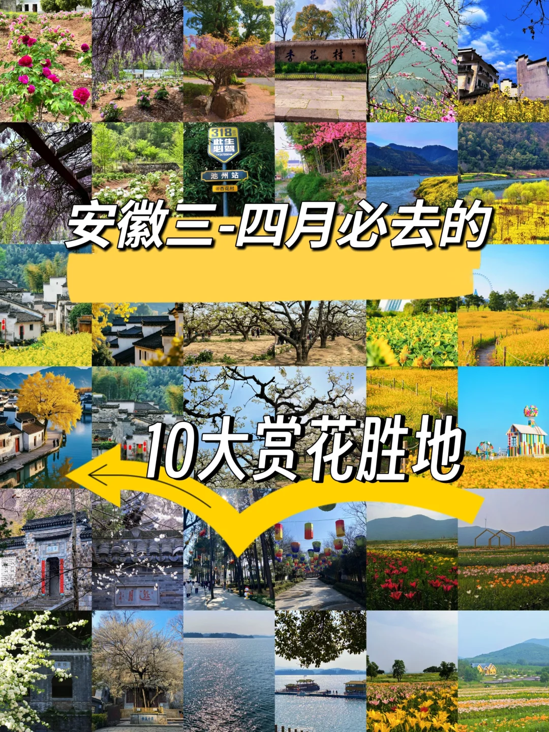 安徽3-4月必去的十大赏花胜地🌸