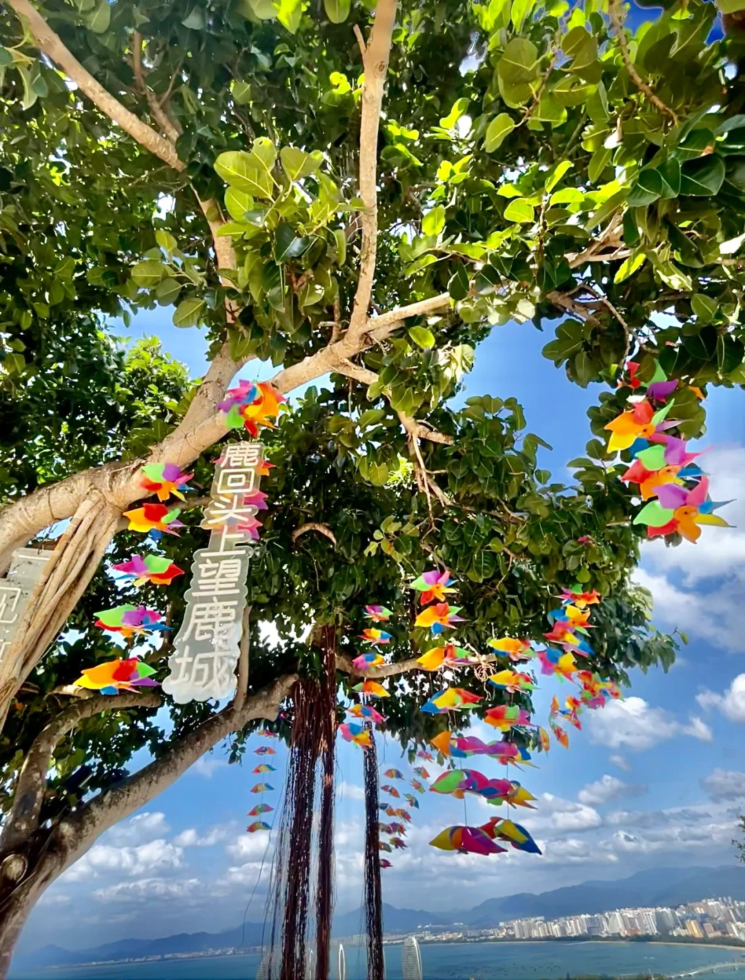 在三亚鹿回头，换一个角度看大海～