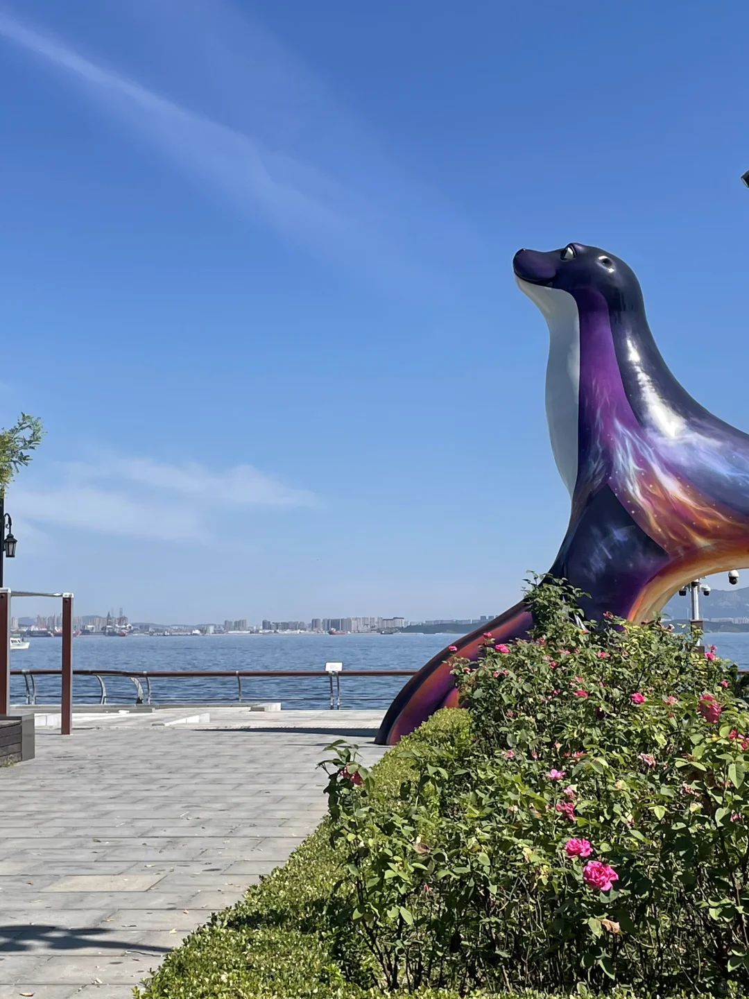 大连免费旅游景点，东港和星海哪个更值得