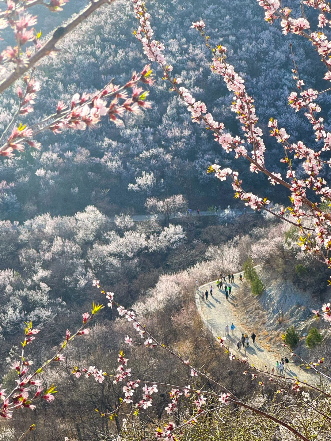 3.22 白虎涧 带上你最好的相机冲冲冲!