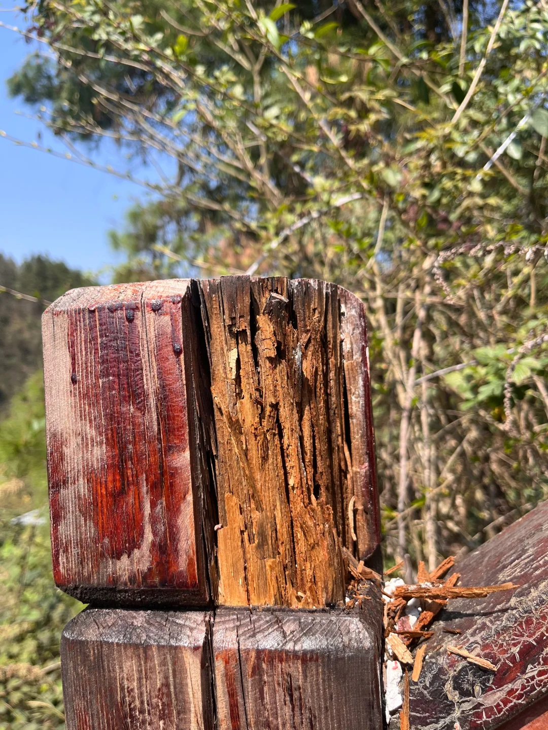 周边游|八角山景区