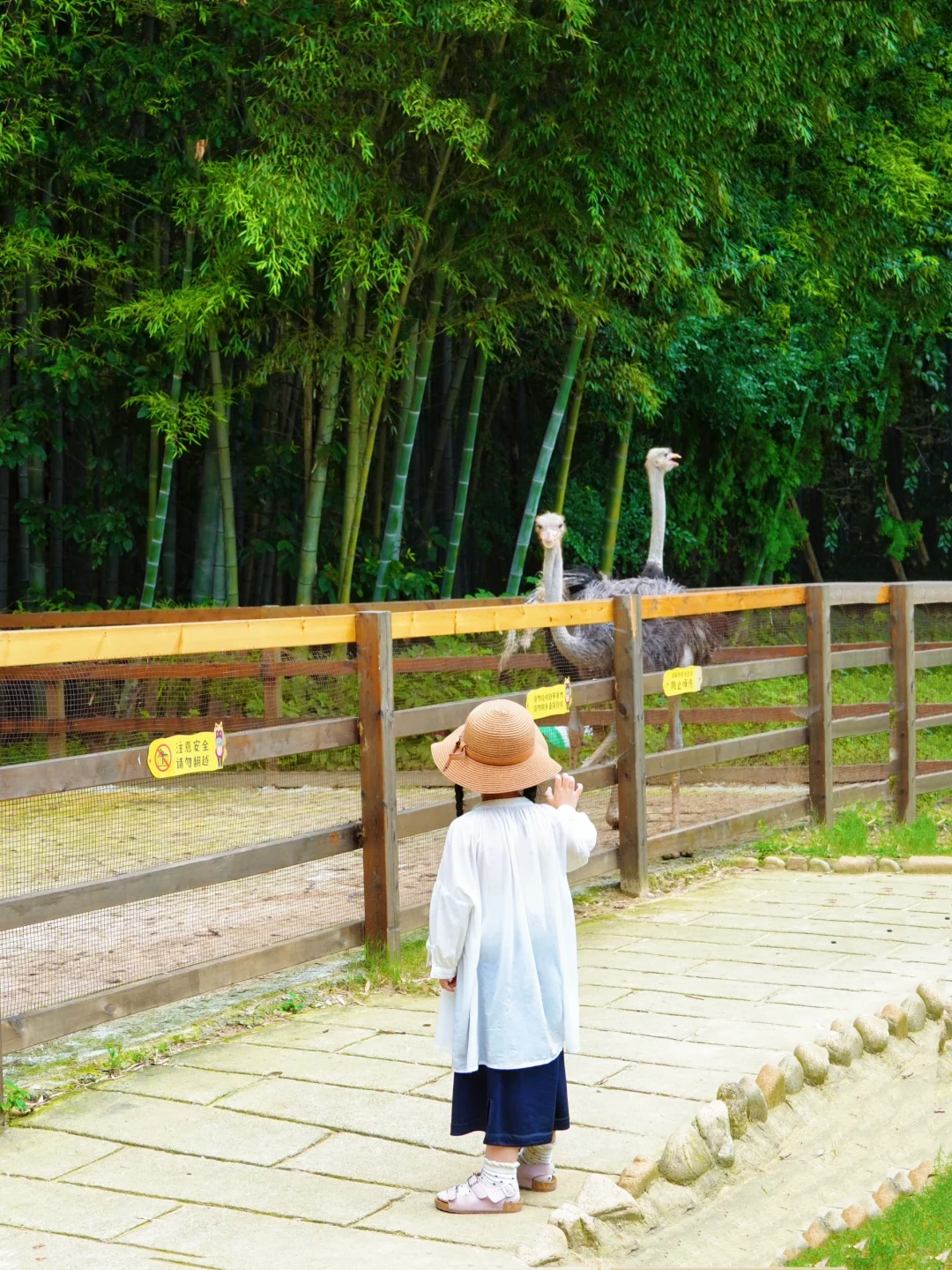 南京自驾1h，好玩不晒的梦幻丛林漂流‼️