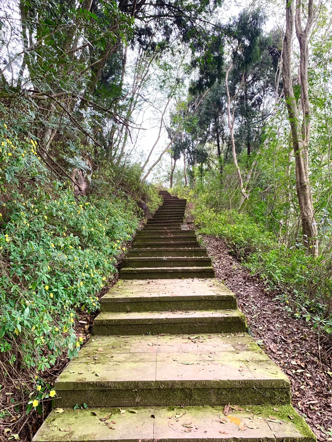 成都徒步|走入油画般的登山步道