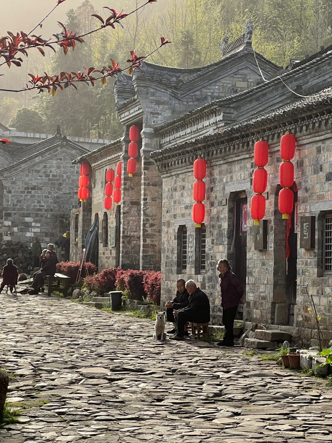 藏于山水之间的静谧古村 🍃河南版小江南