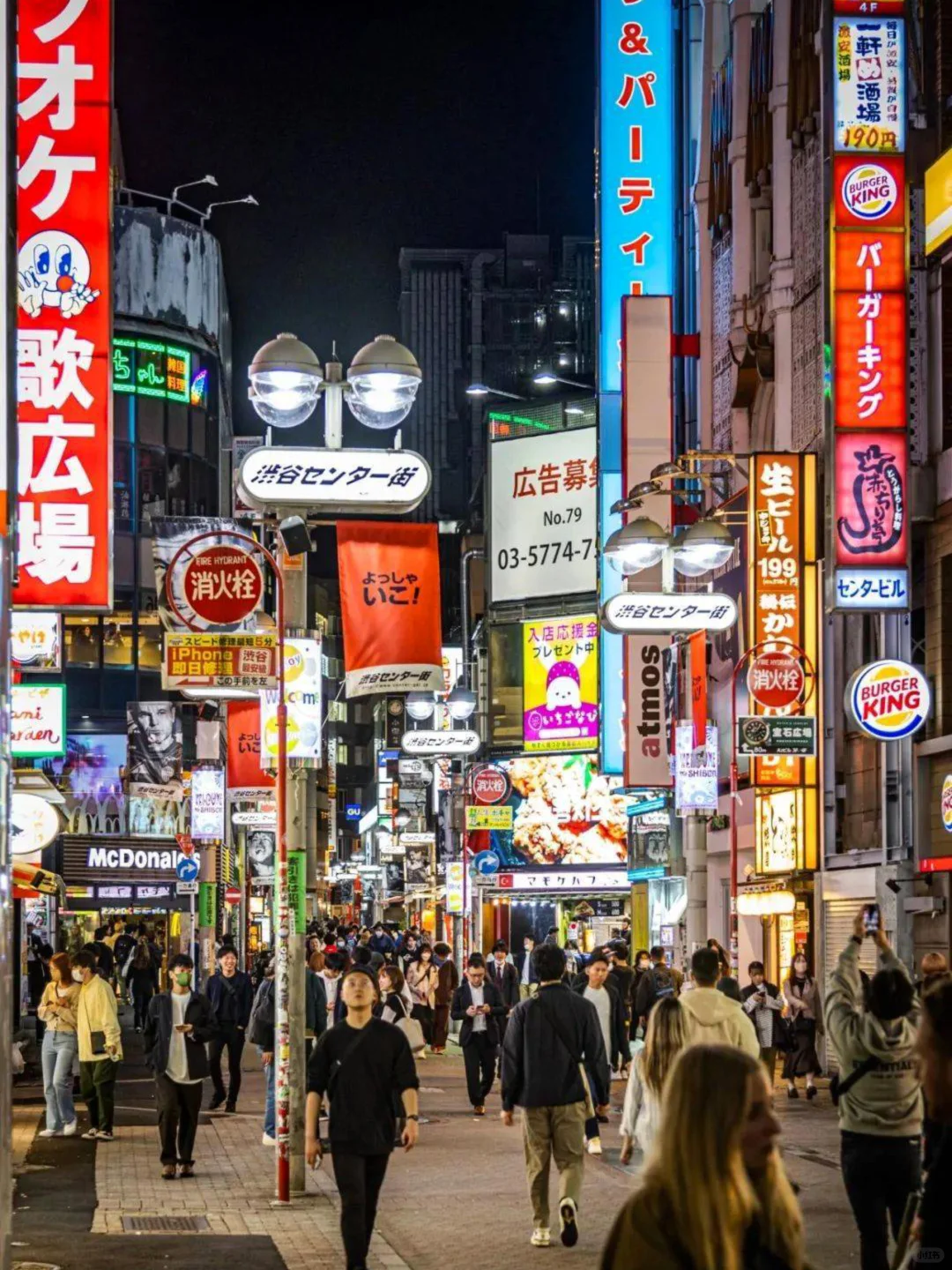 静冈旅游攻略 | 一场治愈心灵的海滨之旅