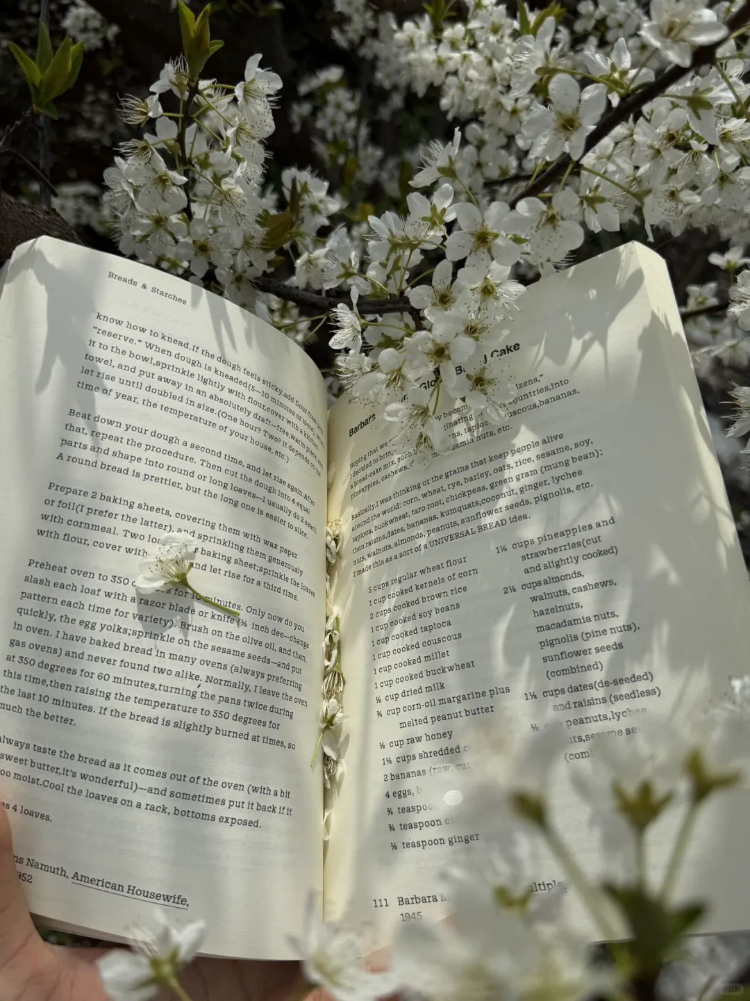 成都1h直达!!小众赏春宝藏地!!人少景美