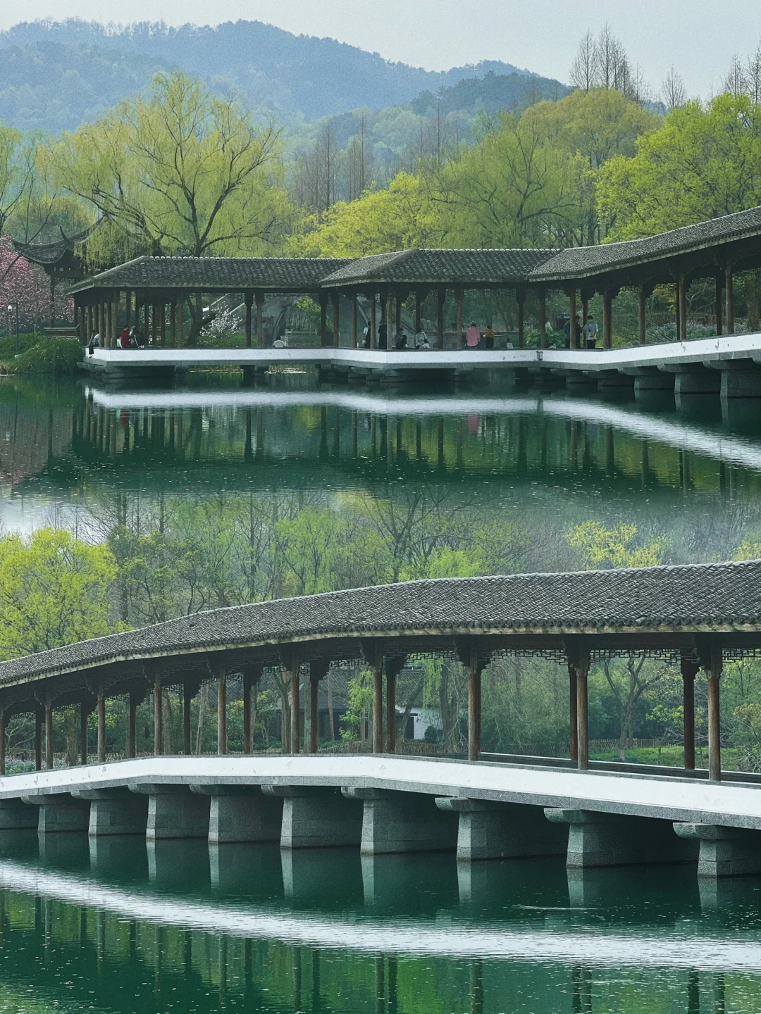 我在杭州上春山 | 最推荐的西湖赏春路线❗️