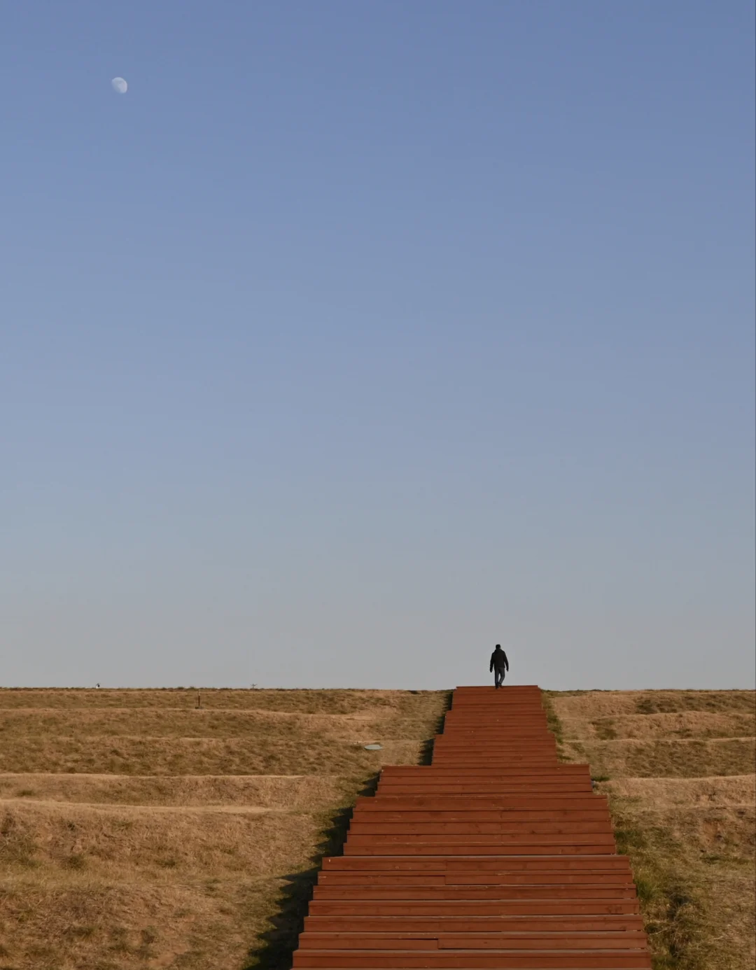 不到两个小时，却仿佛见证了赵国的一生