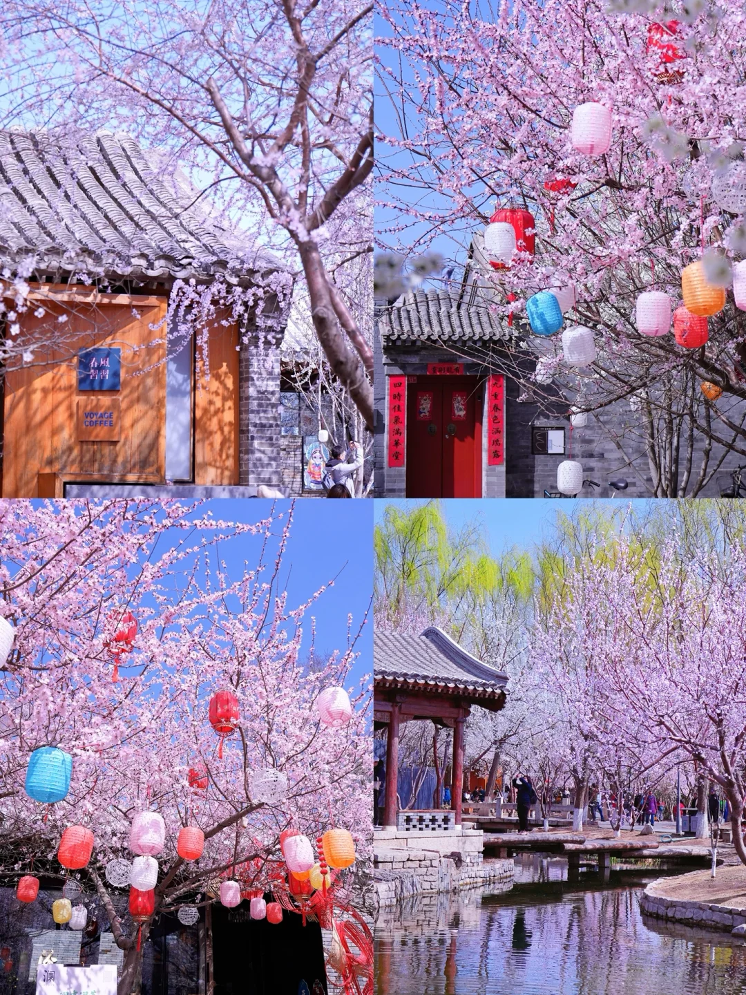 北京春天📍适合一个人逛一下午的地方…