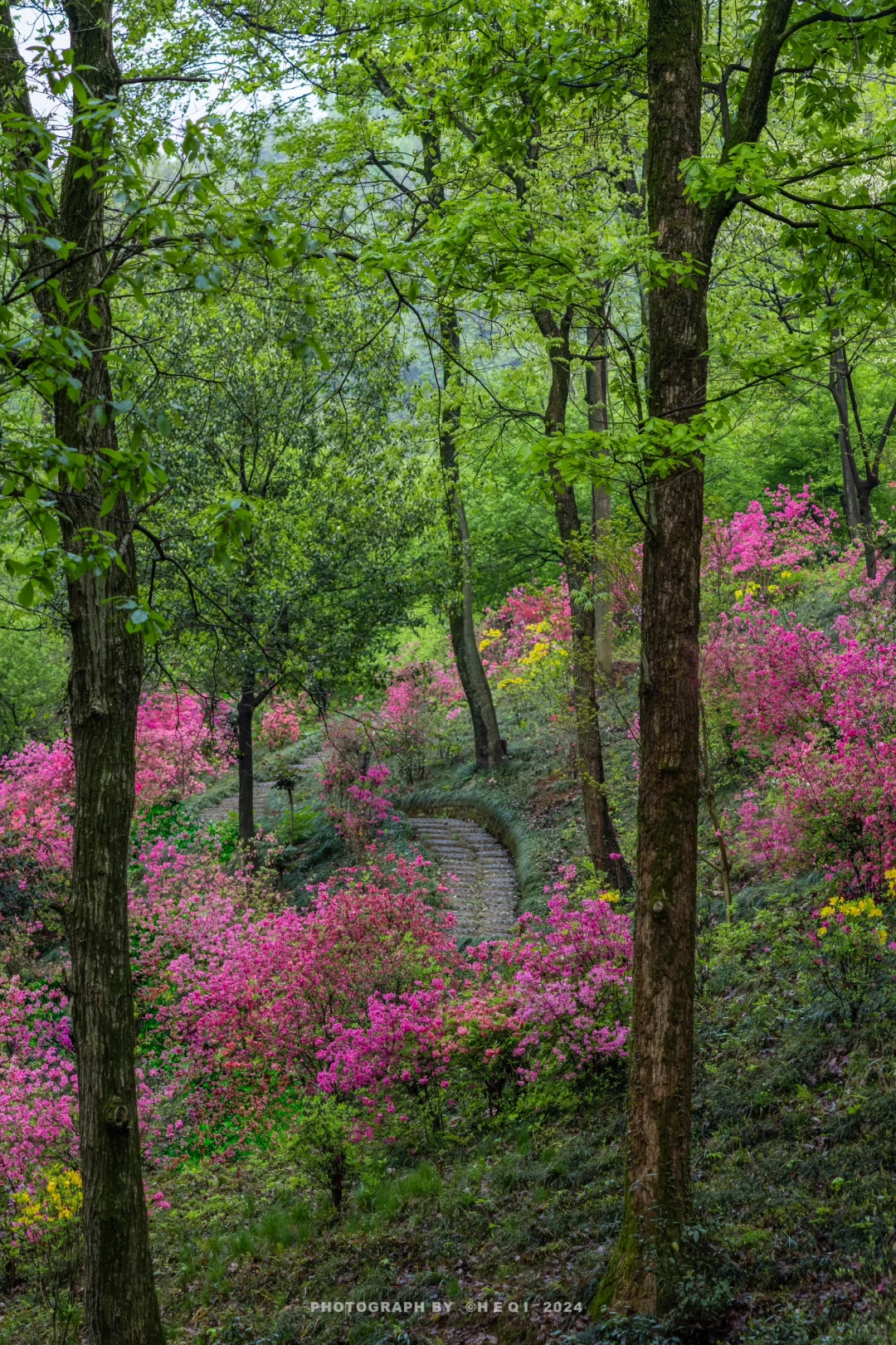 比起杭州，我更爱这个还在用铜钱的皖南小镇