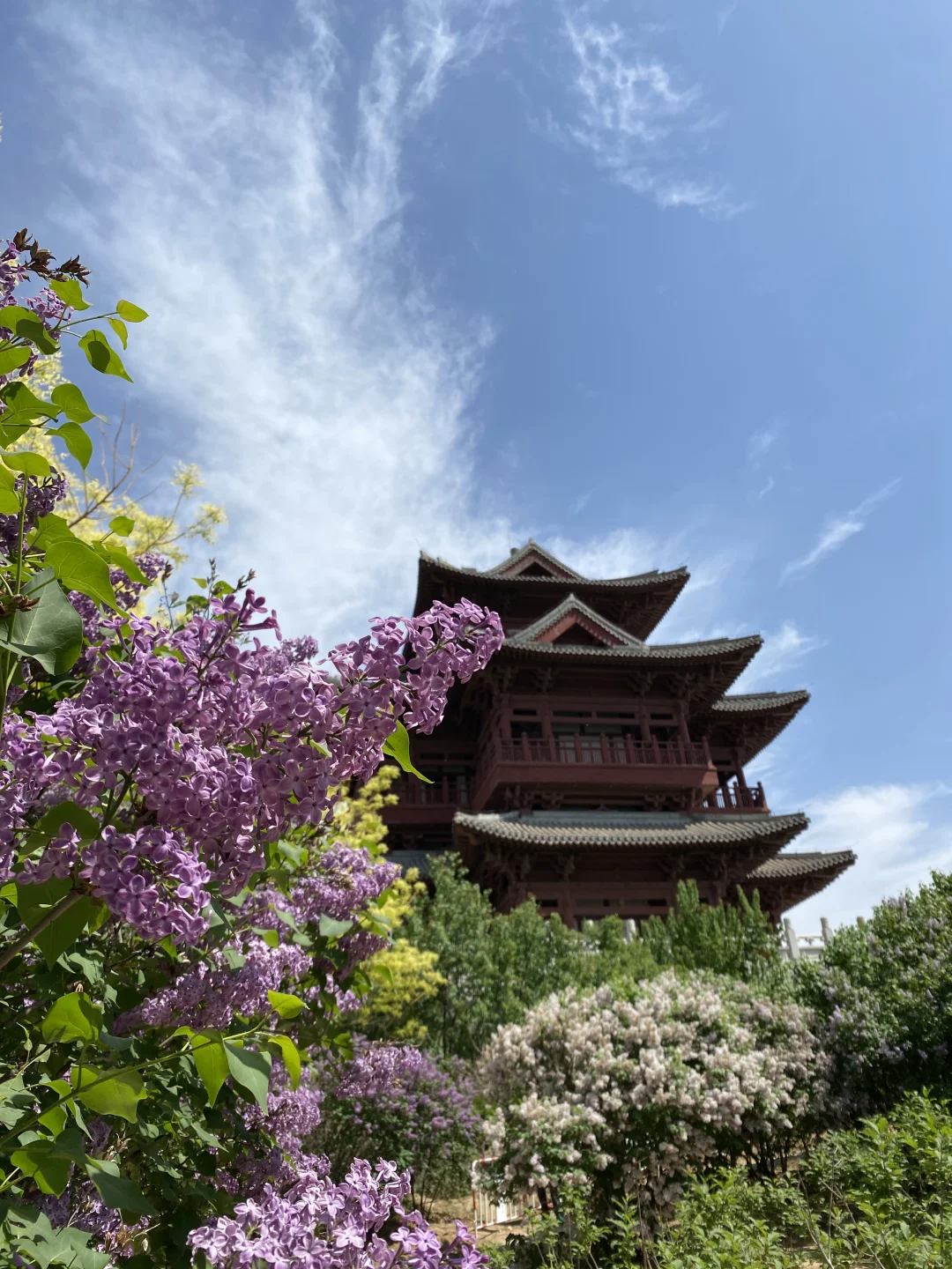 正月登文昌，万