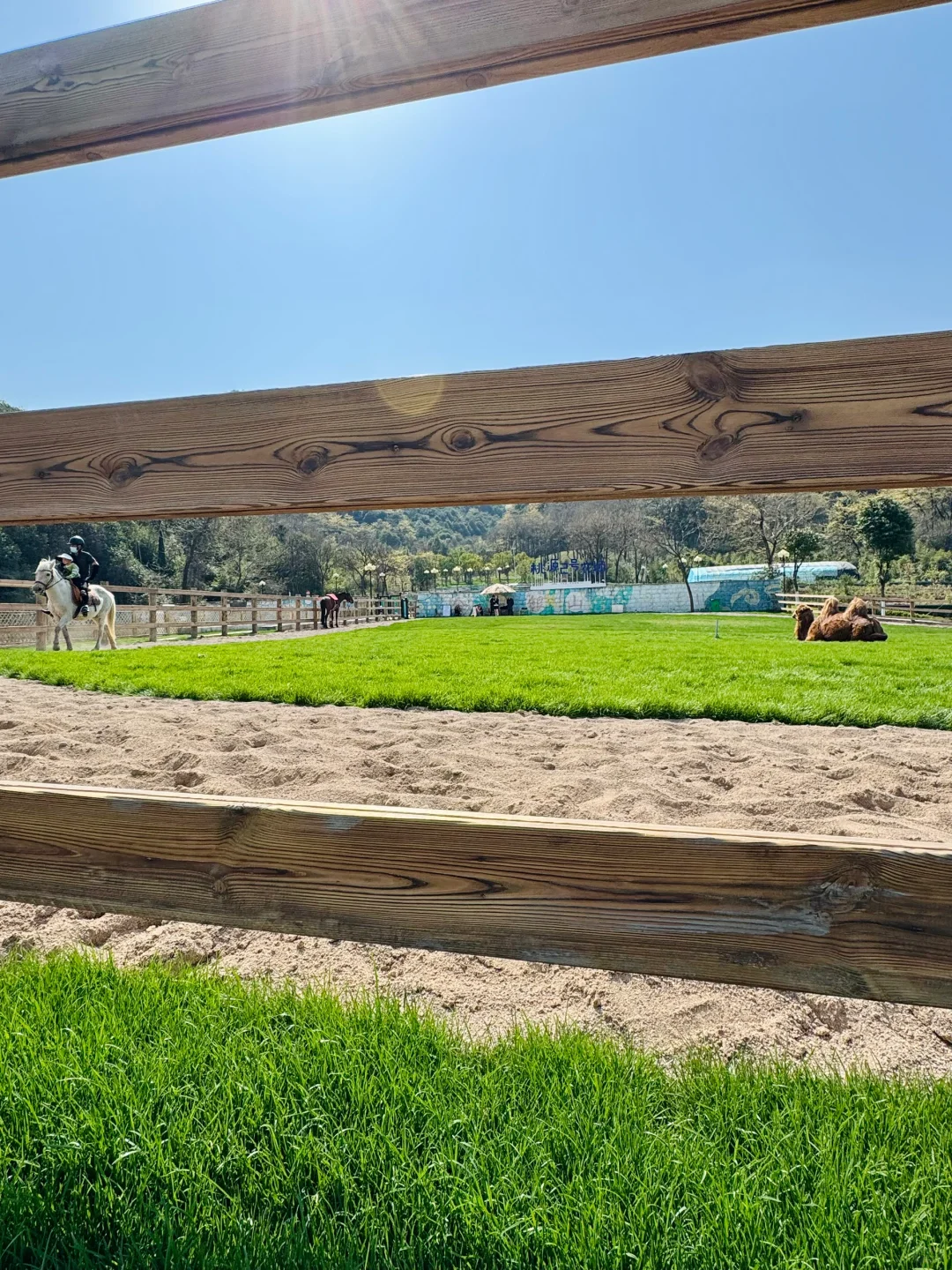 绍兴遛娃好去处(4)|玩不够的一站式躺平遛娃