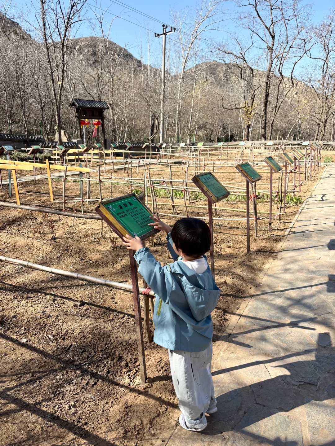带着宝宝👶上春山⛰️⛰️🏔️🗻
