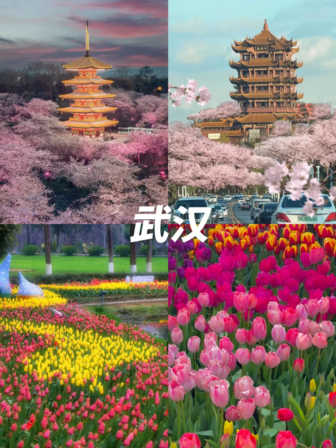 清明赏花游🌸3-4月绝美不踩雷九个城市‼️