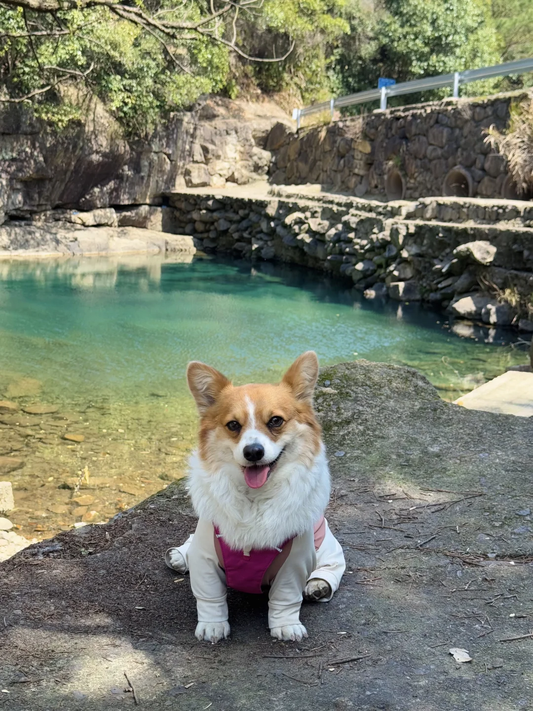 桐庐遛狗 | 芦梅线玩水