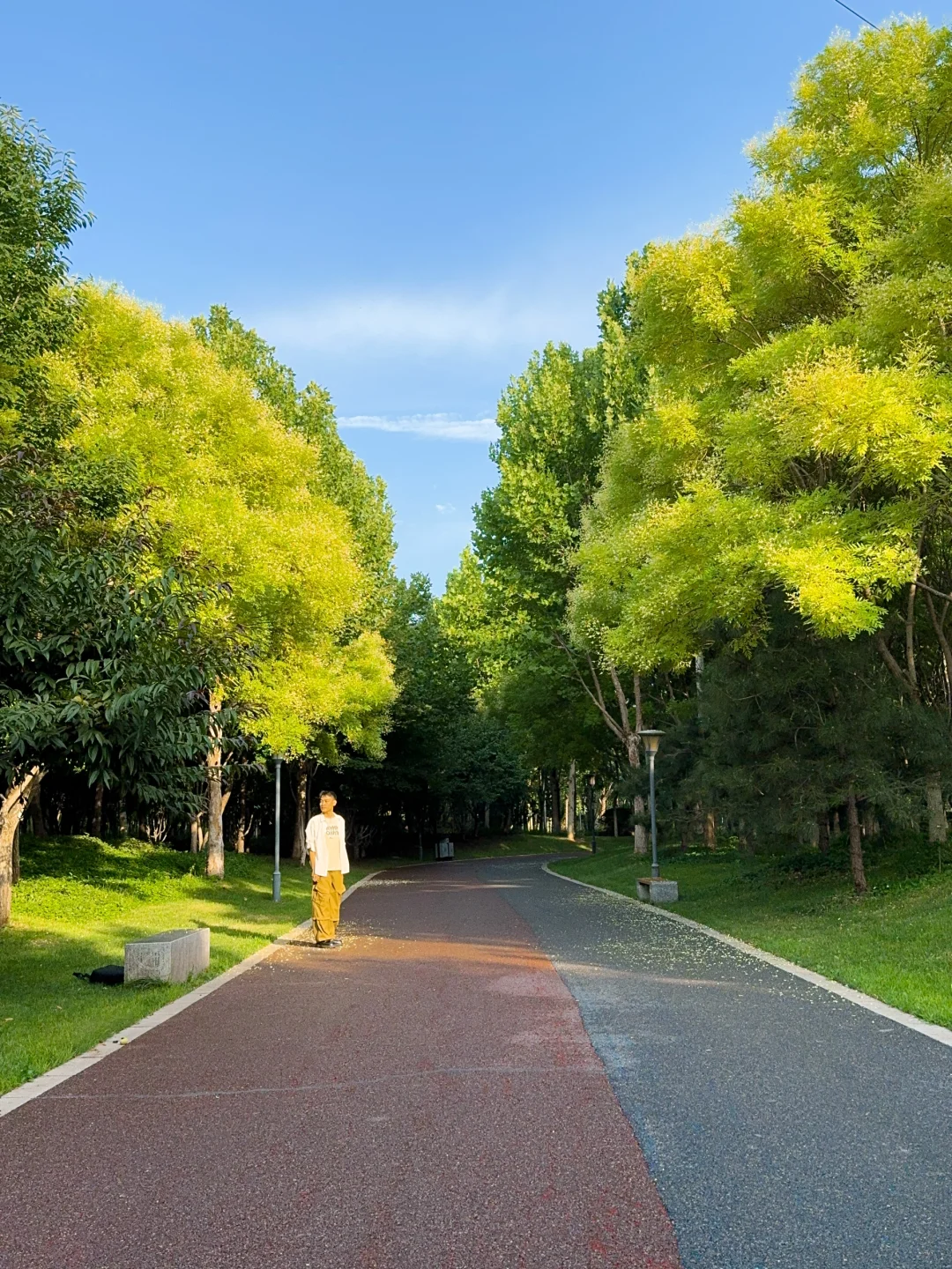 公园20分钟效应·邯郸植物园带来的松弛感🌲