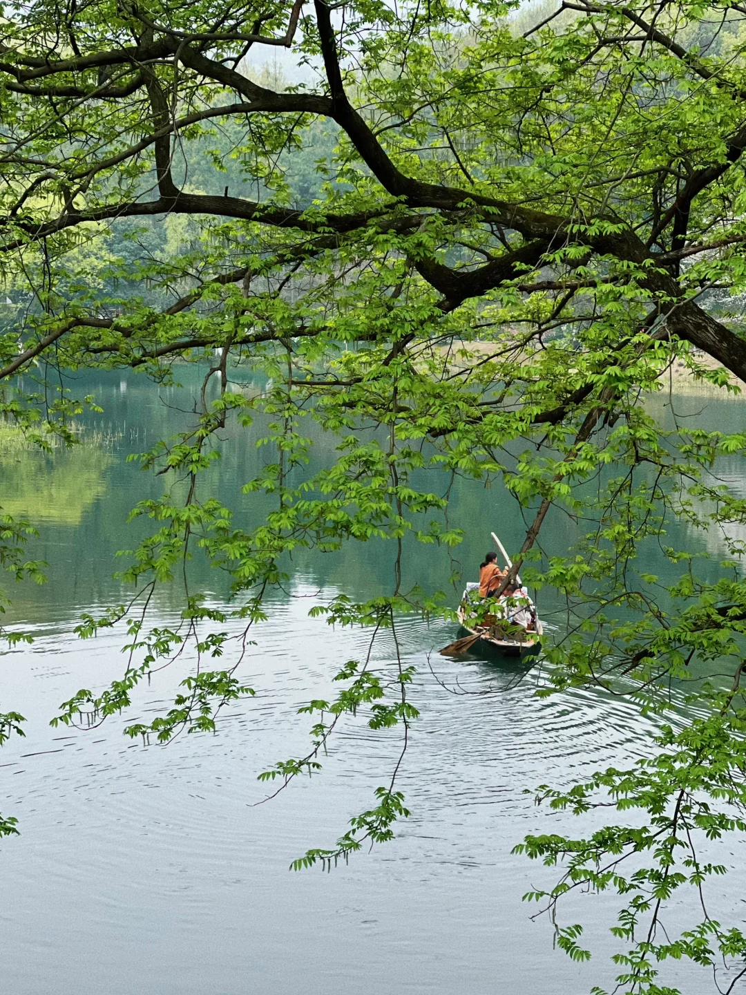我在杭州上春山 | 最推荐的西湖赏春路线❗️